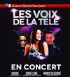 Concert Les Voix de la Télé - 