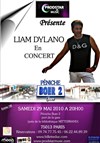Liam Dylano en concert - 