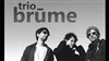 Trio Brüme - 