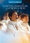 Les Petits chanteurs à la croix de bois | Castres - 