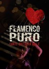 Puro Flamenco - 