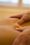 Atelier massage : le dos 3 - 