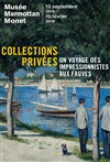 Visite guidée de l'exposition : Voyage des impressionnistes aux fauves | par Hélène Klemenz - 
