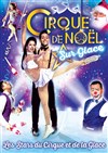 Le Grand Cirque sur Glace : Les Stars du Cirque et de la glace | - Nantes - 