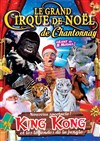Le grand Cirque de Noël : King Kong et les légendes de la jungle | - Chantonnay - 