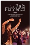 Raíz Flamenca Elèves - 