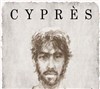 Cyprès - 
