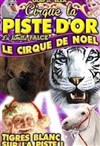 Le Cirque de Noël La Piste d'Or | Saumur - 