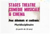 Stage théâtre, comédie musicale, Cinéma - 