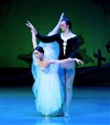 Giselle | Ballet de l'Opéra National d'Ukraine - 