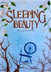 Sleeping Beauty - 