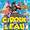 Le Cirque sur l'Eau | - Poitiers - 