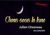 Julien Chesneau - 