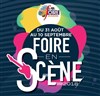 Julien Clerc - Festival Foire en Scène - 