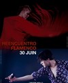 Reencuentro flamenco - 