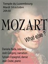 Mozart, What else ? - 