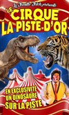 Le Cirque La Piste d'Or dans Happy Birthday | - Meschers sur Gironde - 