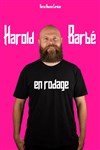 Harold Barbé | En Rodage - 