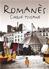 Le Cirque Tzigane Romanès dans La trapéziste des anges - 