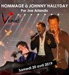 Concert hommage à Johnny Hallyday - 