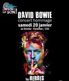Heroes : Hommage à David Bowie - 