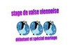 Stage de Valse Viennoise - 