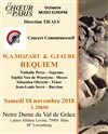 WA Mozart & G. Fauré : Requiem - 
