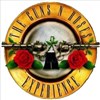 Gun N' Roses Experience - 