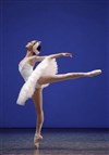 Les Solistes du Ballet de l'Opéra de Paris - 