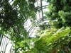 Visite guidée : Le Jardin des Plantes aux mille fleurs | par Delphine Lanvin - 