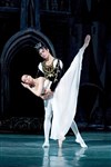 Cendrillon | par le Grand Ballet de Kiev - 