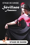 Stage de danse Sevillane (flamenco) - 