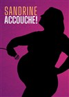 Sandrine accouche ! One mum show - 