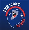 Festival Les lions du rire - 