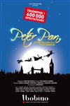 Peter Pan: le spectacle musical - 