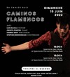 Caminos flamencos - 