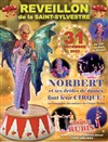 Réveillon magique avec Norbert et ses Drôles de Dames Font leur Cirque - 