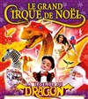 Medrano Le grand cirque de Noël : La Légende du Dragon | - Rouen - 