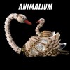 Animalium - 