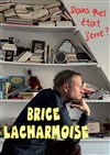 Brice Lacharmoise dans Dans quel état j'erre ? - 