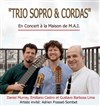 Trio Sopro & Cordes - 