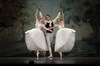 Yacobson ballet - 