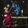 Gilad Hekselman / Will Vinson / Nate Wood dans "Trio Grande" - 