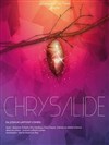 Chrysalide - 