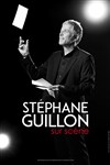 Stéphane Guillon sur scène - 