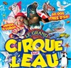 Le Cirque sur l'Eau | - Audierne - 