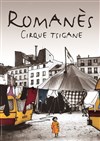 Cirque Romanès : Grand réveillon tzigane 2013 | Folie Tzigane en Zone Libre - 