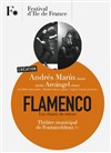 Flamenco - Les chants du retour - 