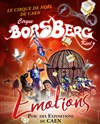 Cirque de Noël Borsberg dans Émotions | à Caen - 