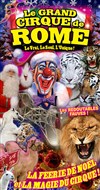 Le Cirque de Noël du Grand Cirque de Rome | - Montpellier - 